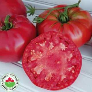 Pruden's Purple Organic Tomato Thumbnail